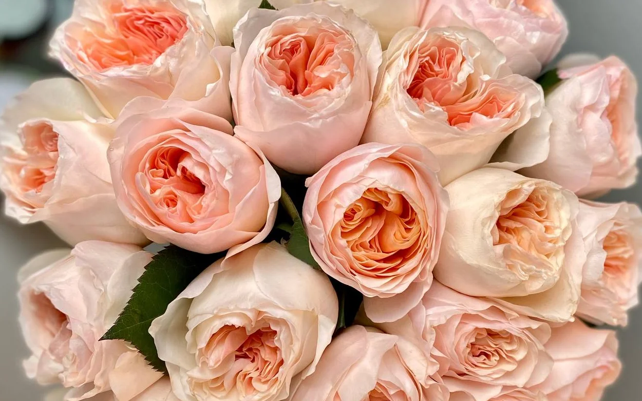 8 Марта в Москве: Как удивить любимых и создать незабываемый день