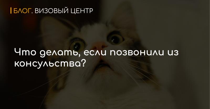 Что делать, если позвонили из консульства?