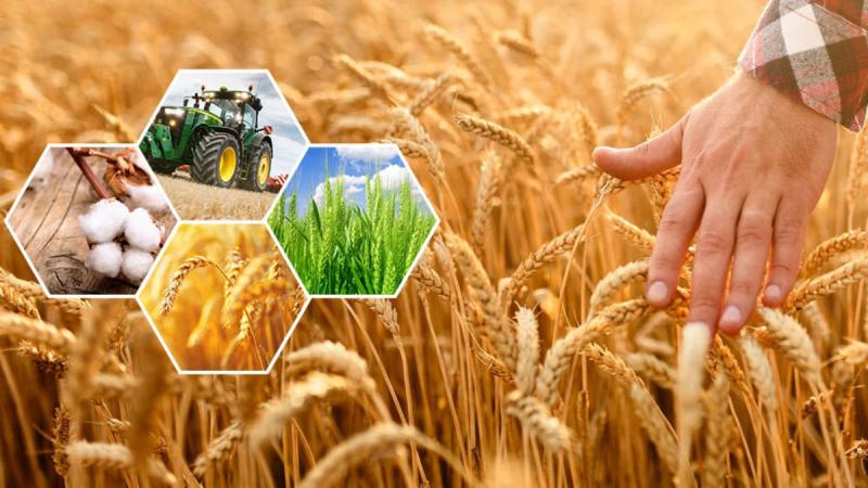 Эффективное развитие российского АПК