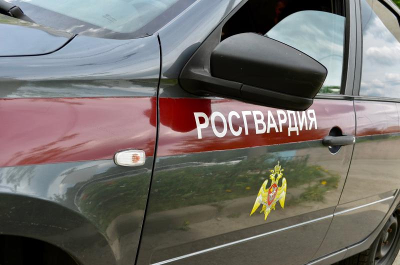 В Пензе сотрудники Росгвардии задержали подозреваемого в причинении материального ущерба развлекательному заведению