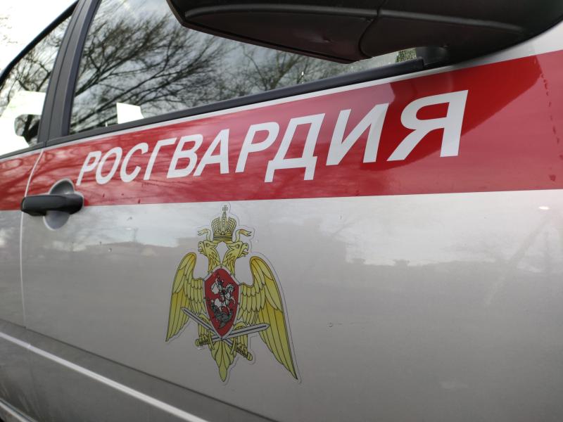 В п. Горшечное росгвардейцы задержали подозреваемого в краже сотового телефона