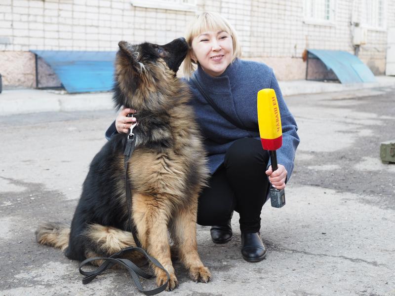 21 июня - день кинологических подразделений Росгвардии