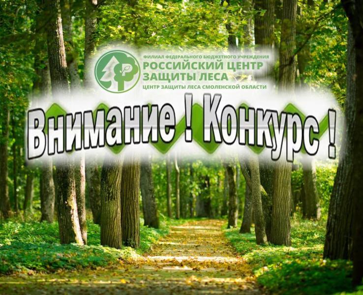 С 1 марта стартовал Всероссийский конкурс детских рисунков «Лес – наш главный интерес»