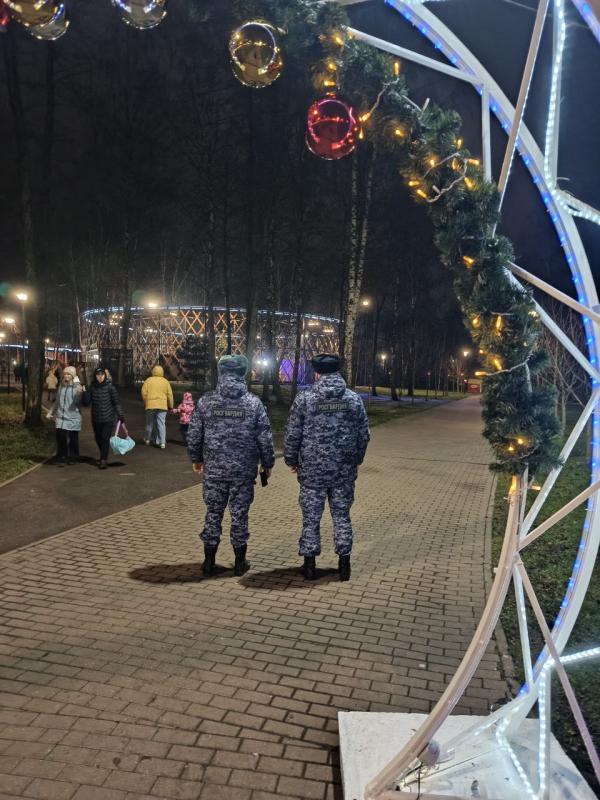 Егорьевское ОВО обеспечило порядок на зажжении огней городской ёлки